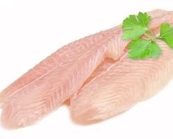 image-Slicers for fish